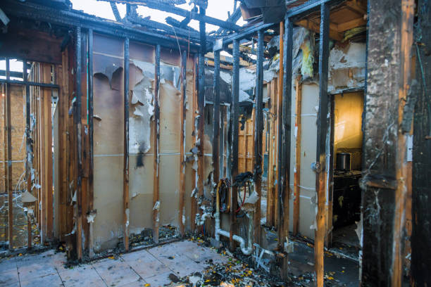 Professional Fire Damage Removal technician working in Baldwin, MD